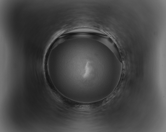 X0000095120104200712141144