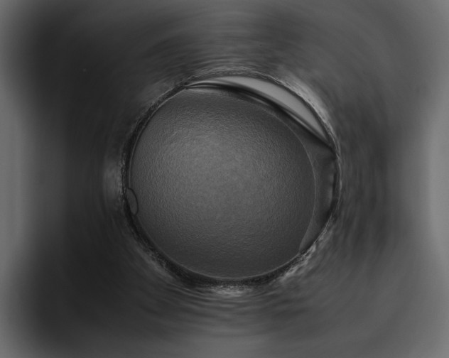 X0000095120105200712141144