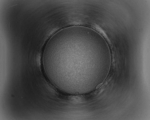 X0000095120106200712141144