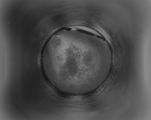 X0000095120107200712141144