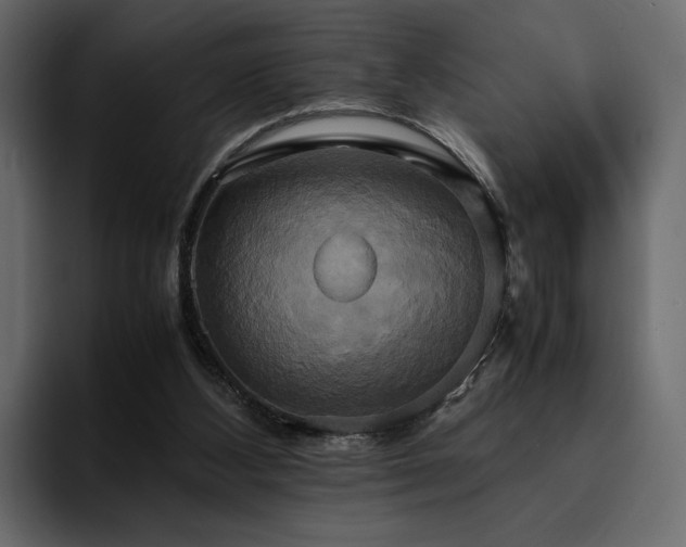 X0000095120108200712141144