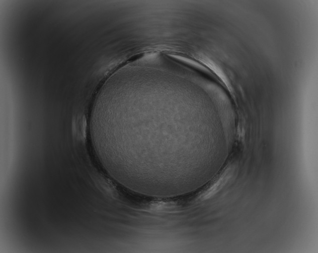 X0000095120109200712141144