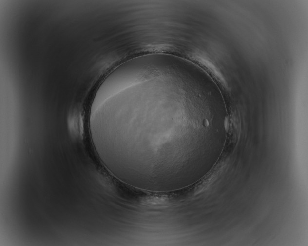 X0000095120110200712141144