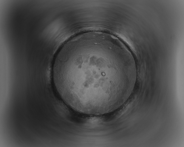 X0000095120111200712141144