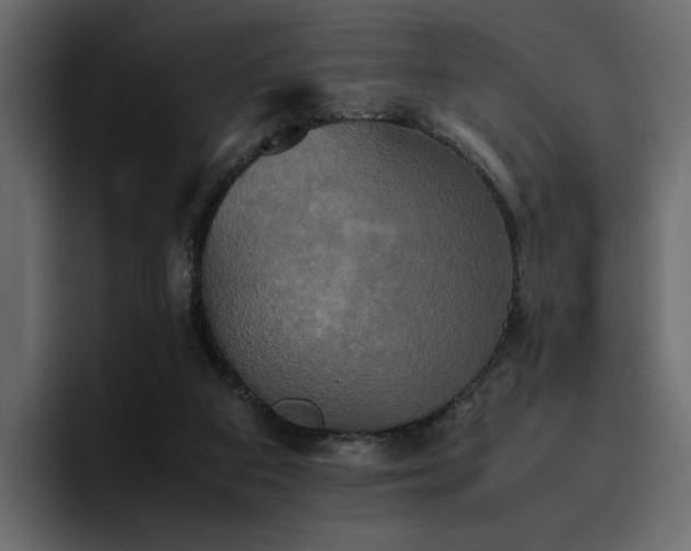 X0000095120113200712141144