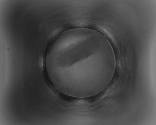 X0000095120115200712141144