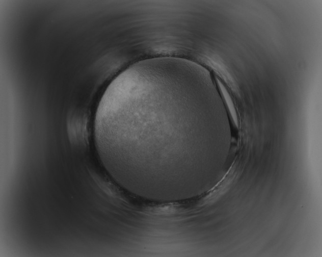 X0000095120116200712141144