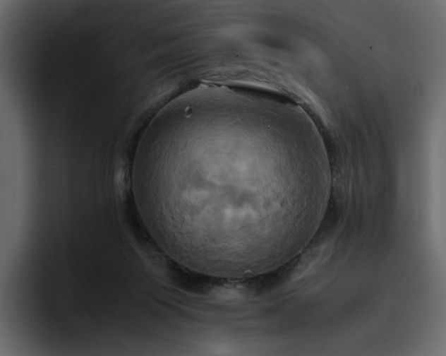 X0000095120119200712141144