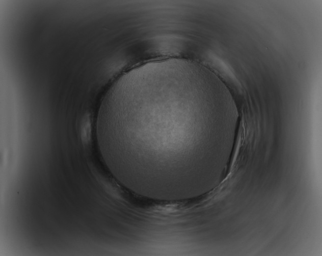 X0000095120120200712141144