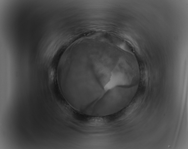 X0000095120123200712141144