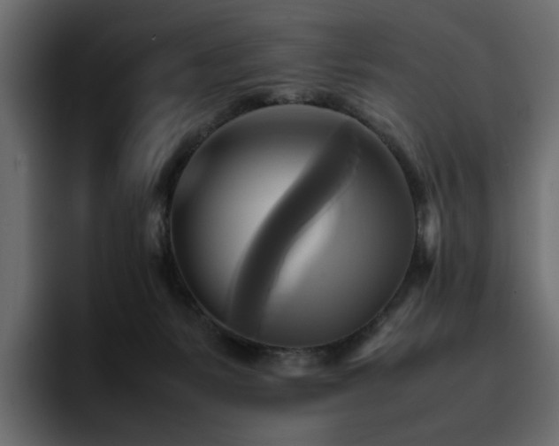 X0000095120127200712141144