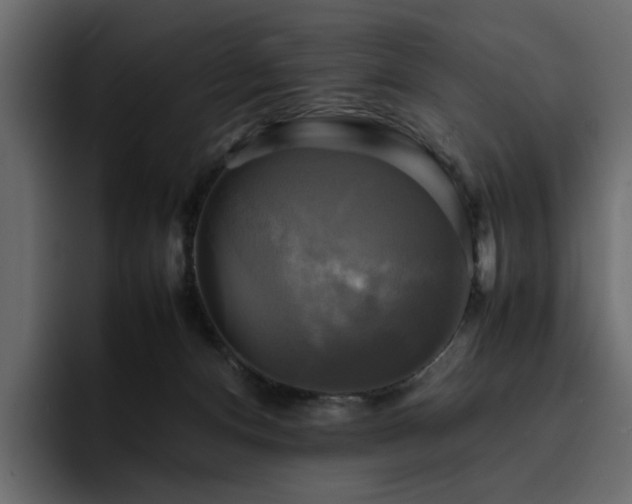 X0000095120128200712141144