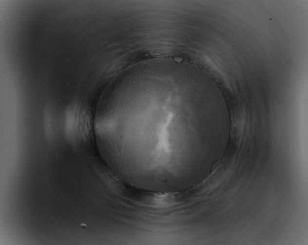 X0000095120130200712141144