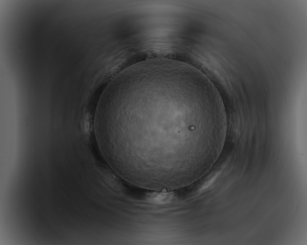 X0000095120135200712141144