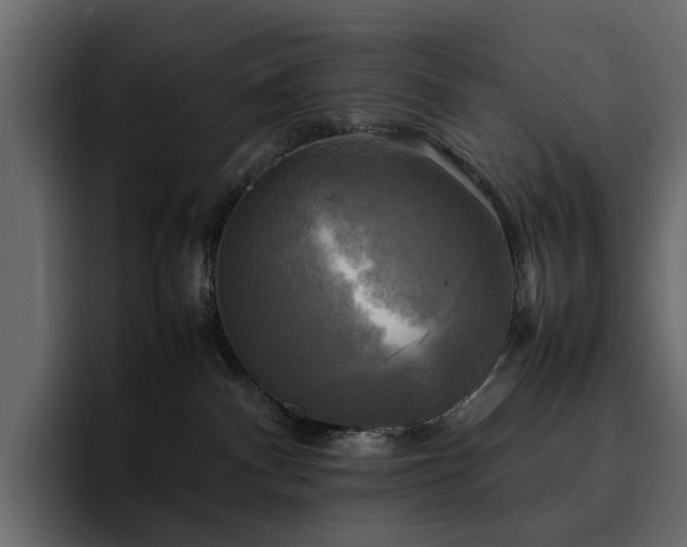 X0000095120140200712141144