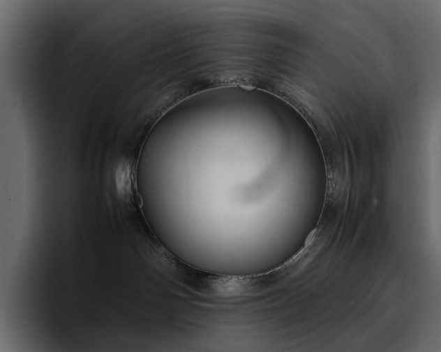 X0000095120142200712141144