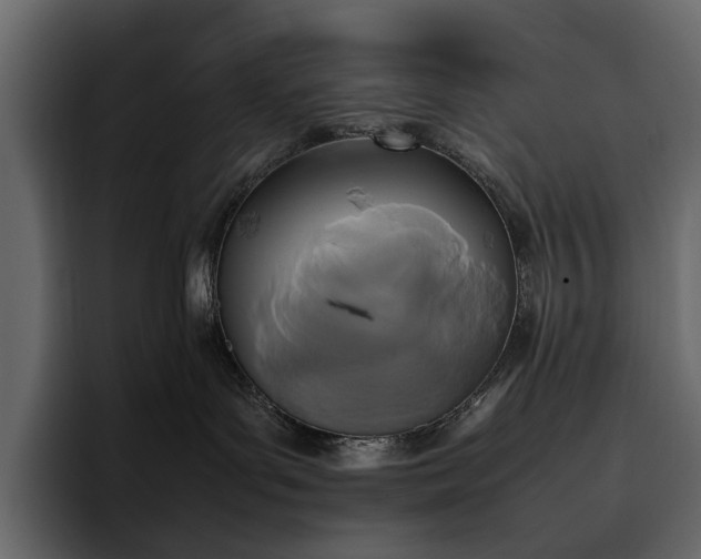 X0000095120143200712141144