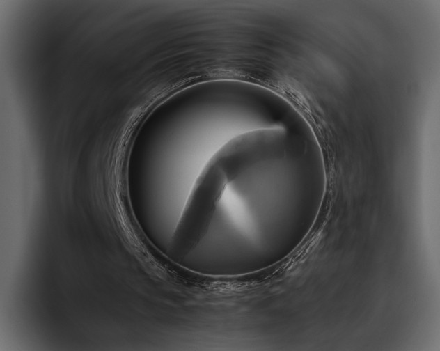 X0000095120145200712141143