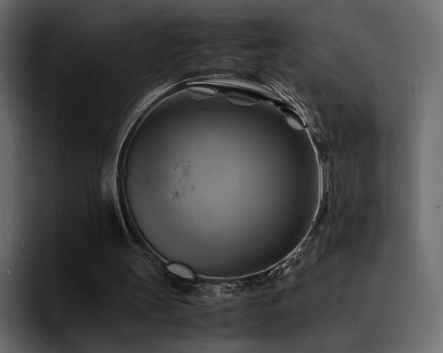 X0000095120147200712141143