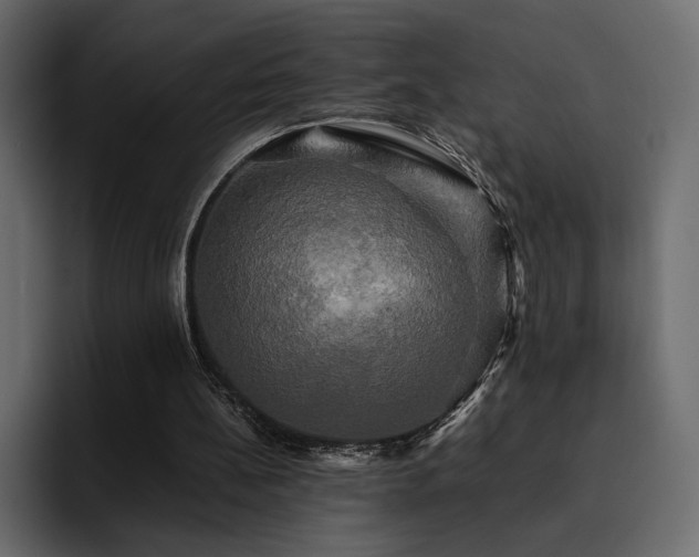 X0000095120148200712141143