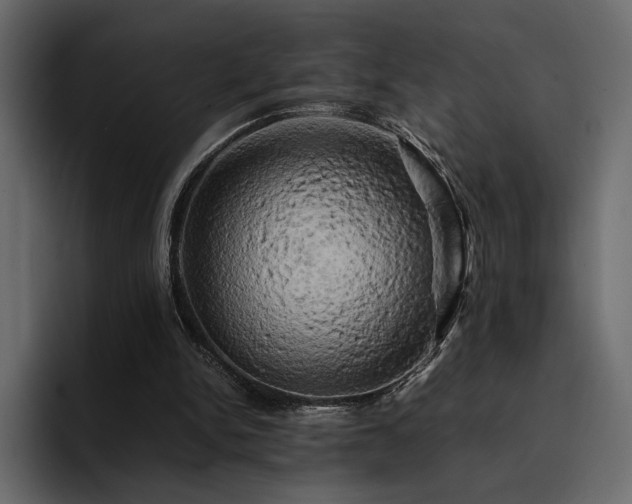 X0000095120150200712141143