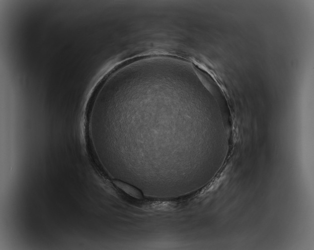 X0000095120152200712141143