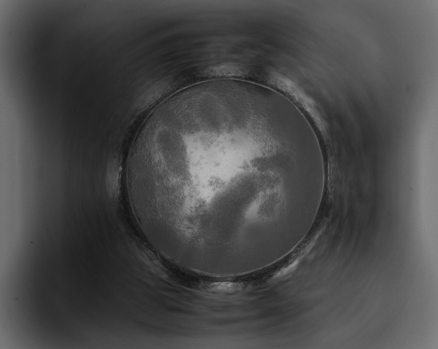 X0000095120153200712141143