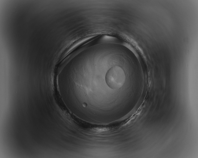 X0000095120154200712141143