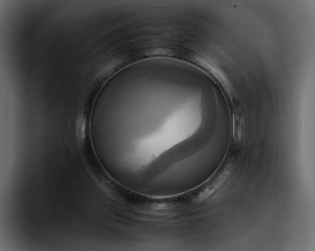 X0000095120157200712141143