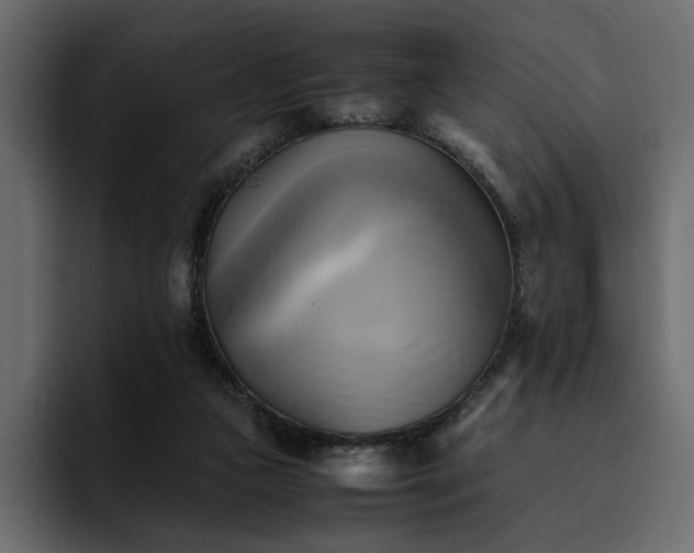 X0000095120161200712141143