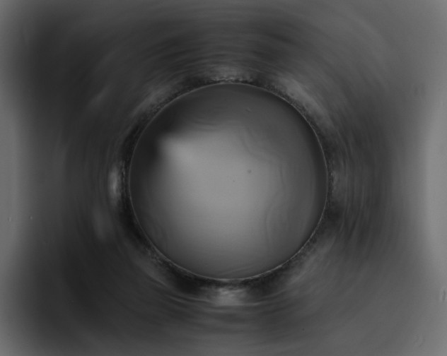 X0000095120165200712141143