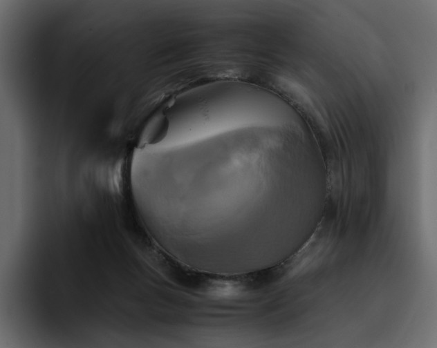 X0000095120167200712141143