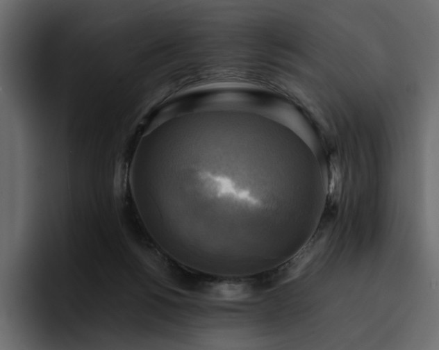 X0000095120168200712141143