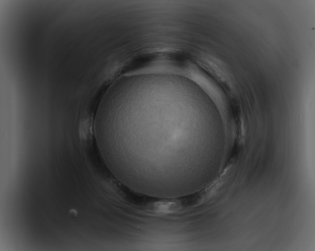 X0000095120172200712141143