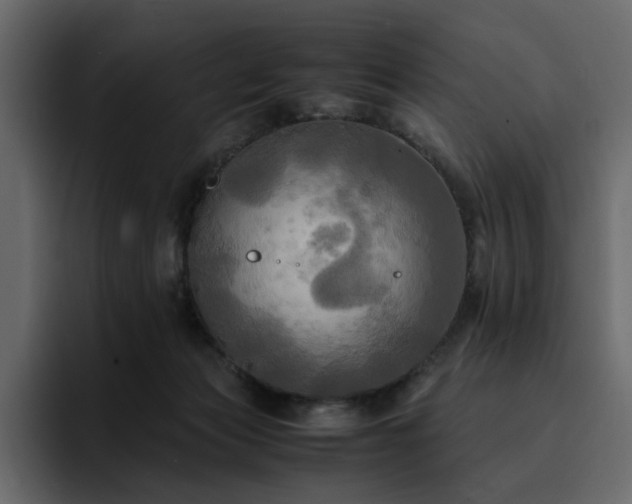 X0000095120173200712141143