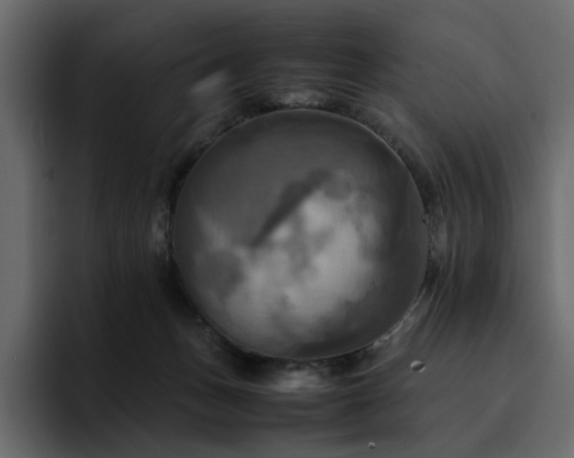 X0000095120175200712141143