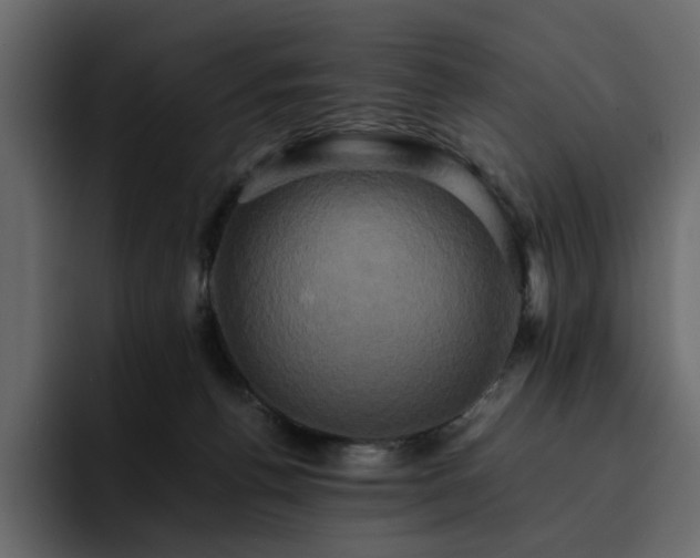 X0000095120176200712141143