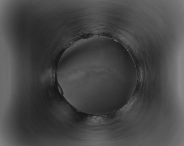 X0000095120180200712141143