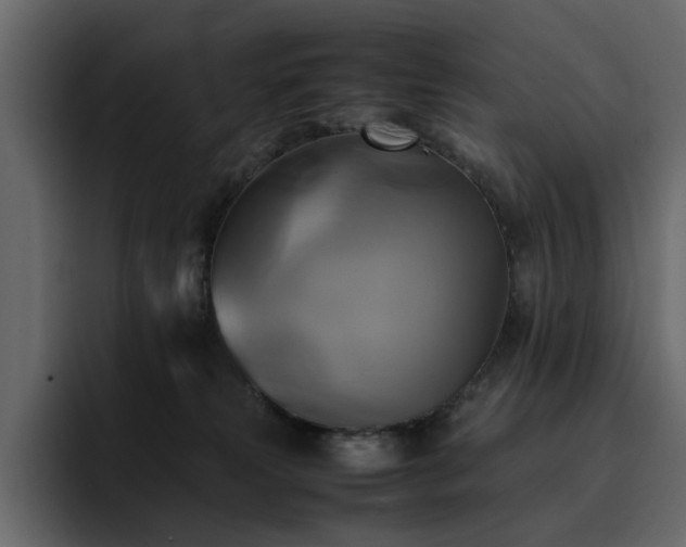 X0000095120181200712141143