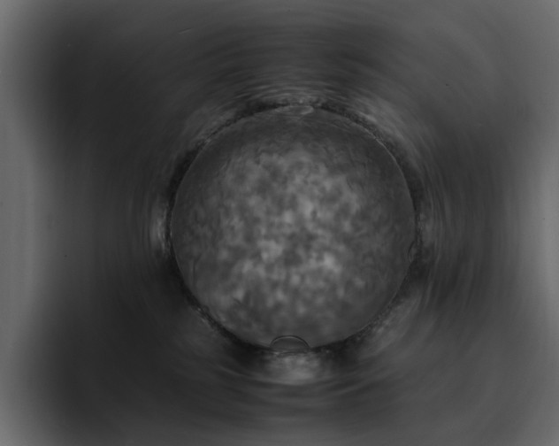 X0000095120185200712141143