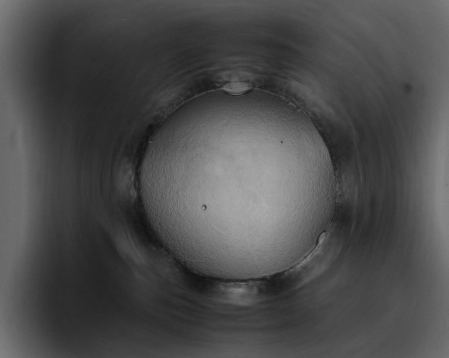 X0000095120187200712141143