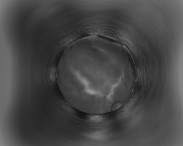 X0000095120189200712141143