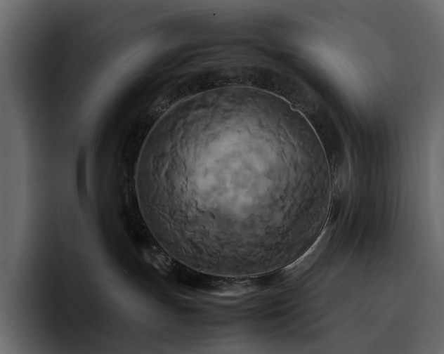 X0000095120191200712141144