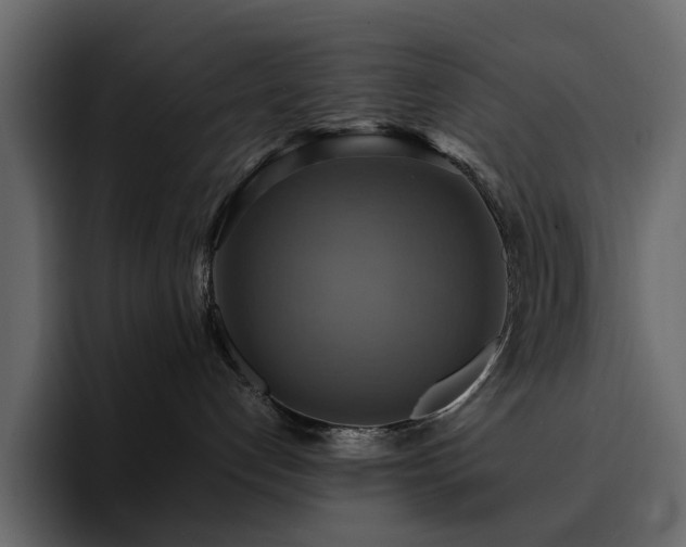 X0000095120192200712141144