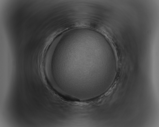 X0000095120193200712141143