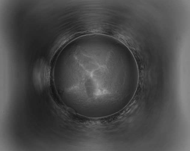 X0000095120194200712141143