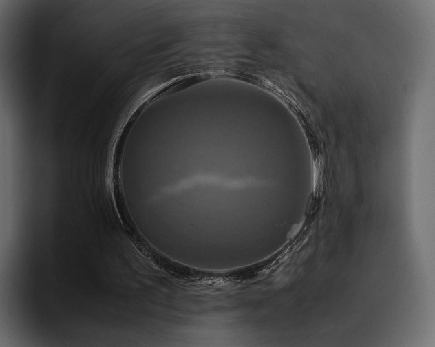 X0000095120195200712141143