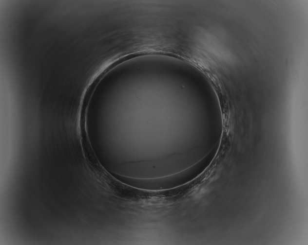 X0000095120196200712141143