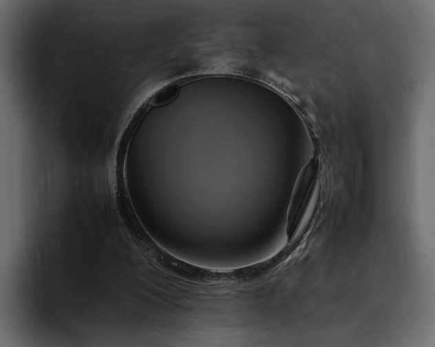 X0000095120200200712141143