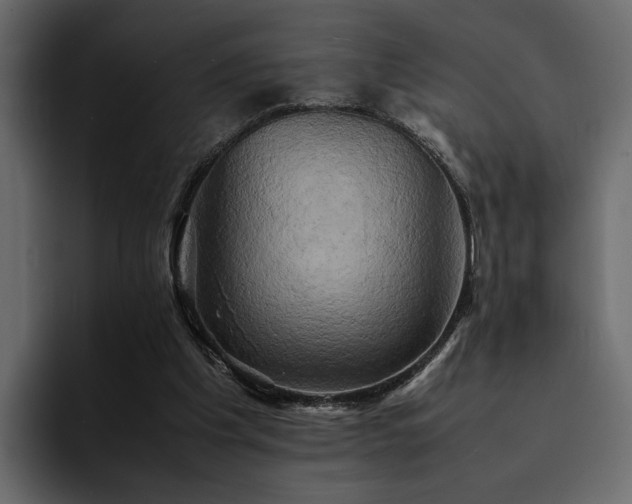 X0000095120201200712141143